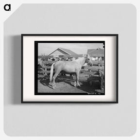 アートポスター-Palomino at Auction, El Dorado, Texas
 - ラッセル リー Poster.