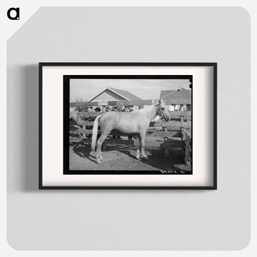 Palomino at Auction, El Dorado, Texas
 - ラッセル リー Poster.