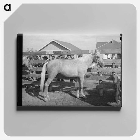 アートパネル-Palomino at Auction, El Dorado, Texas
 - ラッセル リー Canvas.