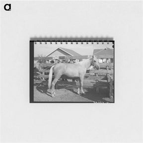 アートメモ帳-Palomino at Auction, El Dorado, Texas
 - ラッセル リー Memo.