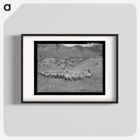 アートポスター-Driving Fat Lambs to Cimarron, Colorado
 - ラッセル リー Poster.