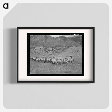 Driving Fat Lambs to Cimarron, Colorado
 - ラッセル リー Poster.