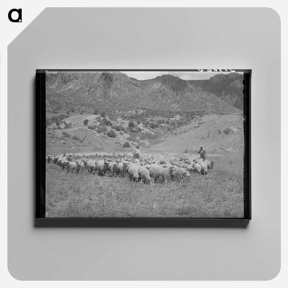 アートパネル-Driving Fat Lambs to Cimarron, Colorado
 - ラッセル リー Canvas.
