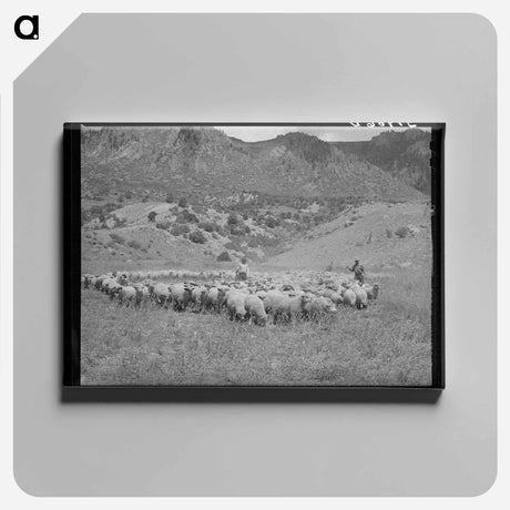 アートパネル-Driving Fat Lambs to Cimarron, Colorado
 - ラッセル リー Canvas.