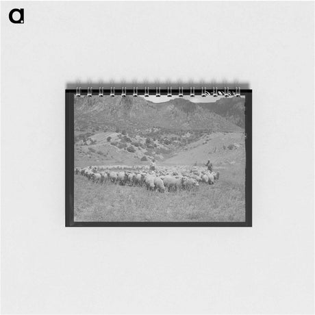 アートメモ帳-Driving Fat Lambs to Cimarron, Colorado
 - ラッセル リー Memo.