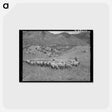 アートポストカード-Driving Fat Lambs to Cimarron, Colorado
 - ラッセル リー Postcard.