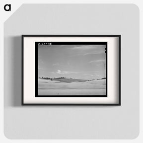 アートポスター-Wheat Fields, Whitman County, Washington
 - ラッセル リー Poster.