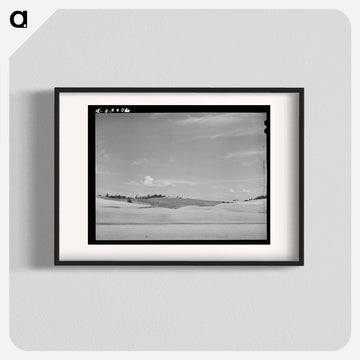 Wheat Fields, Whitman County, Washington
 - ラッセル リー Poster.