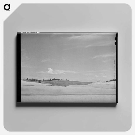 アートパネル-Wheat Fields, Whitman County, Washington
 - ラッセル リー Canvas.