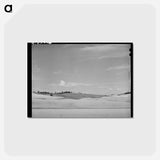 アートポストカード-Wheat Fields, Whitman County, Washington
 - ラッセル リー Postcard.