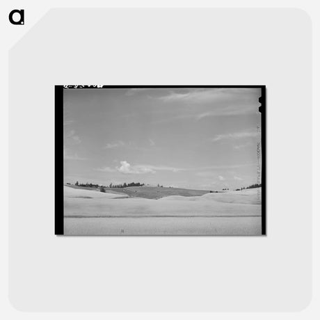 アートポストカード-Wheat Fields, Whitman County, Washington
 - ラッセル リー Postcard.