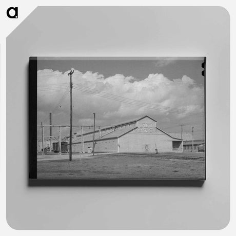 アートパネル-Cotton Seed Oil Mill, Taft, Texas
 - ラッセル リー Canvas.