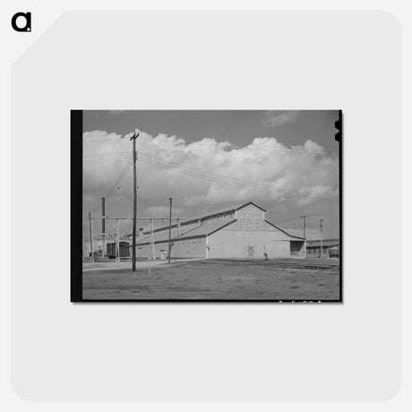 アートポストカード-Cotton Seed Oil Mill, Taft, Texas
 - ラッセル リー Postcard.