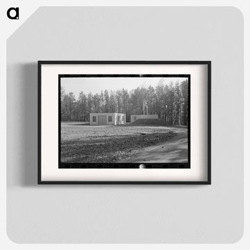 Water Purifying Plant
 - ラッセル リー Poster.