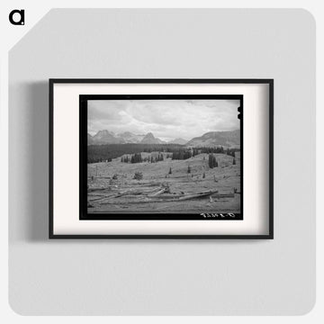 Deforestation in San Juan County
 - ラッセル リー Poster.