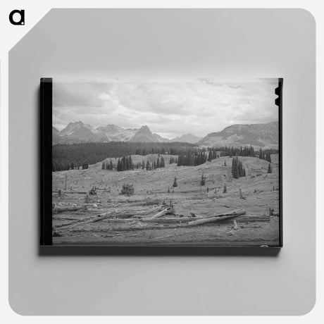 アートパネル-Deforestation in San Juan County
 - ラッセル リー Canvas.