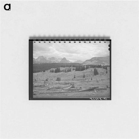 アートメモ帳-Deforestation in San Juan County
 - ラッセル リー Memo.