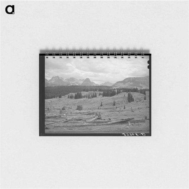 アートメモ帳-Deforestation in San Juan County
 - ラッセル リー Memo.