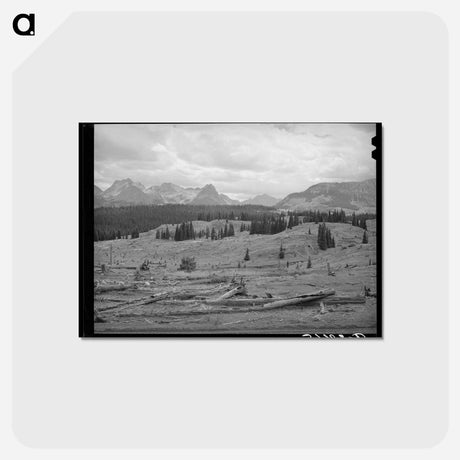 アートポストカード-Deforestation in San Juan County
 - ラッセル リー Postcard.