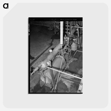アートポストカード-Grapefruit Juice Canning Process, Weslaco, Texas
 - ラッセル リー Postcard.
