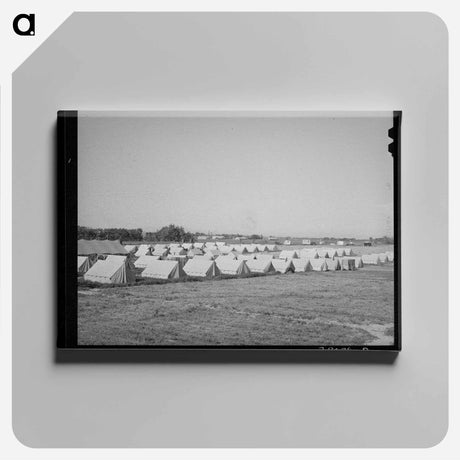 アートパネル-Tents of FSA Migratory Labor Camp, Wilder, Idaho
 - ラッセル リー Canvas.