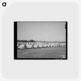 アートポストカード-Tents of FSA Migratory Labor Camp, Wilder, Idaho
 - ラッセル リー Postcard.