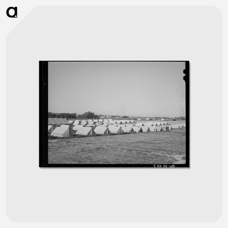 アートポストカード-Tents of FSA Migratory Labor Camp, Wilder, Idaho
 - ラッセル リー Postcard.