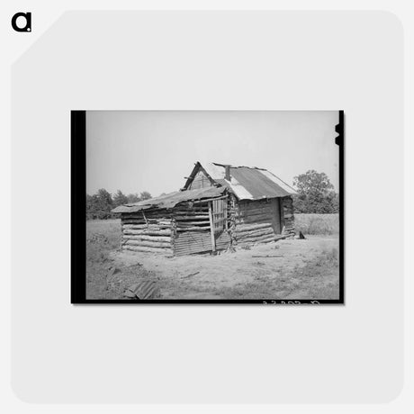 アートポストカード-Home of Agricultural Day Laborer, McIntosh County, Oklahoma
 - ラッセル リー Postcard.