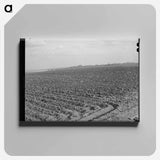 アートパネル-Plowed Cornfield, McLennan County, Texas
 - ラッセル リー Canvas.