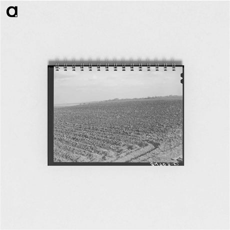 アートメモ帳-Plowed Cornfield, McLennan County, Texas
 - ラッセル リー Memo.