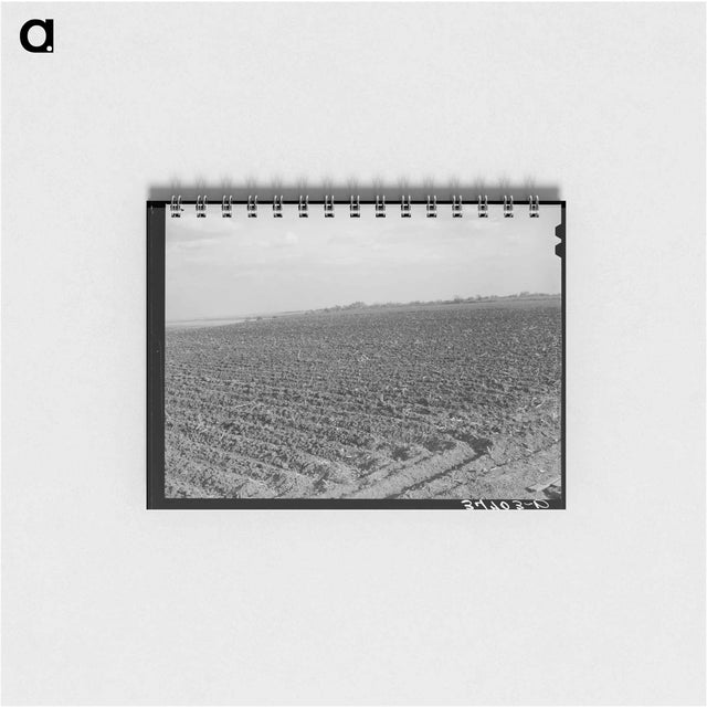アートメモ帳-Plowed Cornfield, McLennan County, Texas
 - ラッセル リー Memo.
