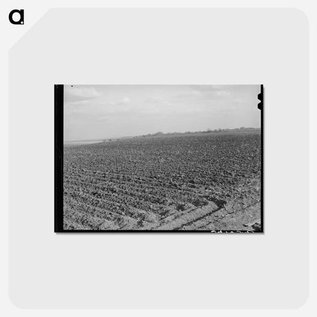 アートポストカード-Plowed Cornfield, McLennan County, Texas
 - ラッセル リー Postcard.