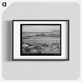 アートポスター-Orchard of Farmer at Dixon, New Mexico
 - ラッセル リー Poster.