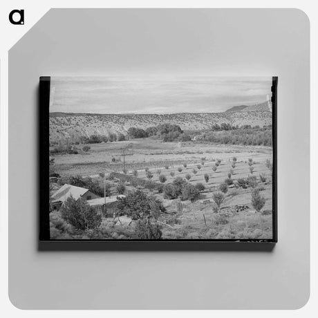 アートパネル-Orchard of Farmer at Dixon, New Mexico
 - ラッセル リー Canvas.