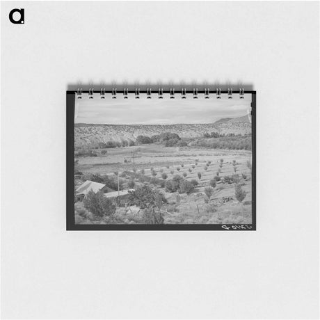 アートメモ帳-Orchard of Farmer at Dixon, New Mexico
 - ラッセル リー Memo.