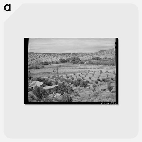 アートポストカード-Orchard of Farmer at Dixon, New Mexico
 - ラッセル リー Postcard.
