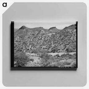 アートパネル-Along the Apache Trail in Gila County, Arizona
 - ラッセル リー Canvas.