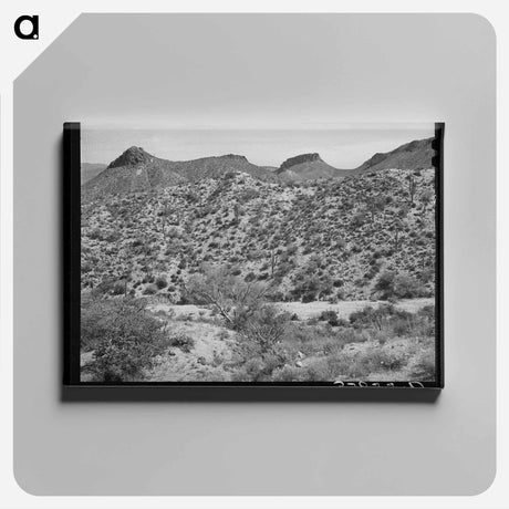 アートパネル-Along the Apache Trail in Gila County, Arizona
 - ラッセル リー Canvas.