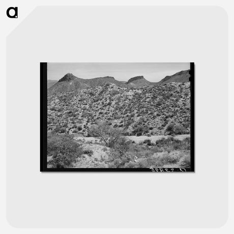 アートポストカード-Along the Apache Trail in Gila County, Arizona
 - ラッセル リー Postcard.