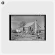 アートポストカード-Sharecropper's Cabin, Transylvania, Louisiana
 - ラッセル リー Postcard.