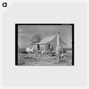 アートポストカード-Sharecropper's Cabin, Transylvania, Louisiana
 - ラッセル リー Postcard.