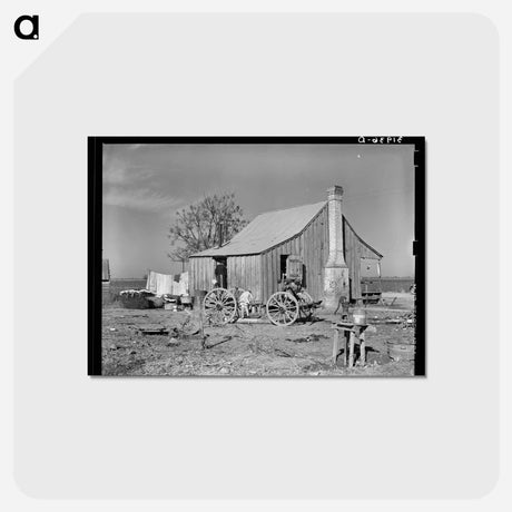 アートポストカード-Sharecropper's Cabin, Transylvania, Louisiana
 - ラッセル リー Postcard.