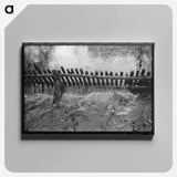 アートパネル-Salmon Hatchery, Astoria, Oregon
 - ラッセル リー Canvas.