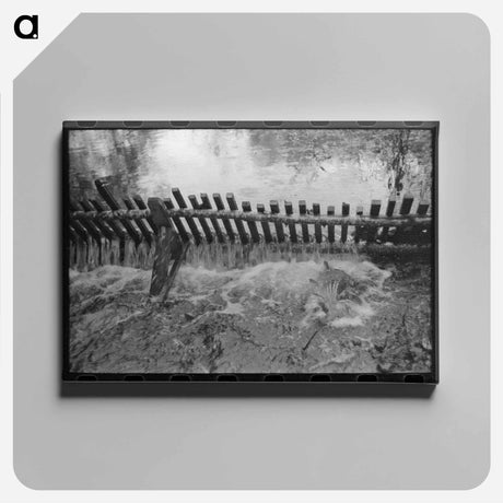 アートパネル-Salmon Hatchery, Astoria, Oregon
 - ラッセル リー Canvas.