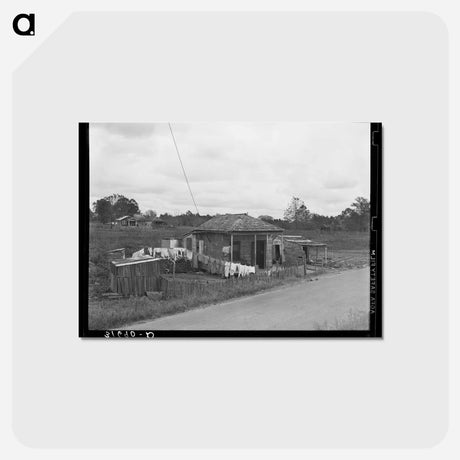 アートポストカード-Farm House near Norco, Louisiana
 - ラッセル リー Postcard.