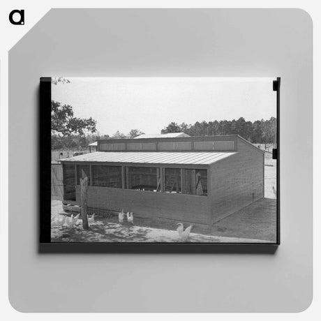 アートパネル-Chicken House, Sabine Farms
 - ラッセル リー Canvas.