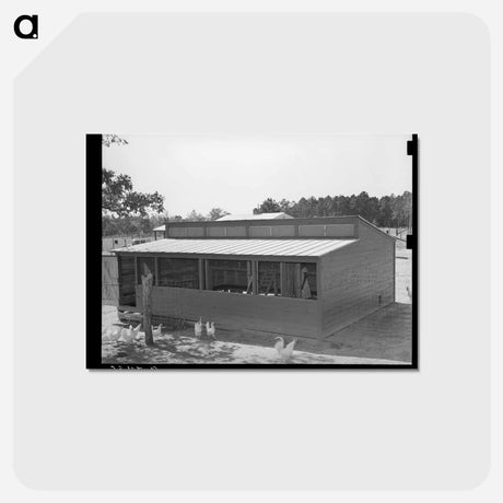 アートポストカード-Chicken House, Sabine Farms
 - ラッセル リー Postcard.