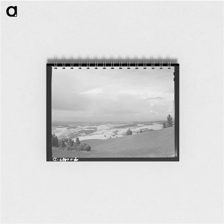 アートメモ帳-Wheat Fields from Winchester Hill, Nez Perce County, Idaho
 - ラッセル リー Memo.