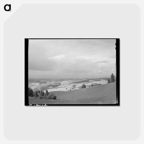 アートポストカード-Wheat Fields from Winchester Hill, Nez Perce County, Idaho
 - ラッセル リー Postcard.