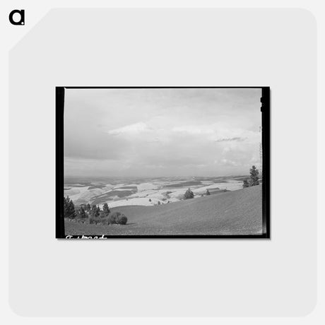 アートポストカード-Wheat Fields from Winchester Hill, Nez Perce County, Idaho
 - ラッセル リー Postcard.